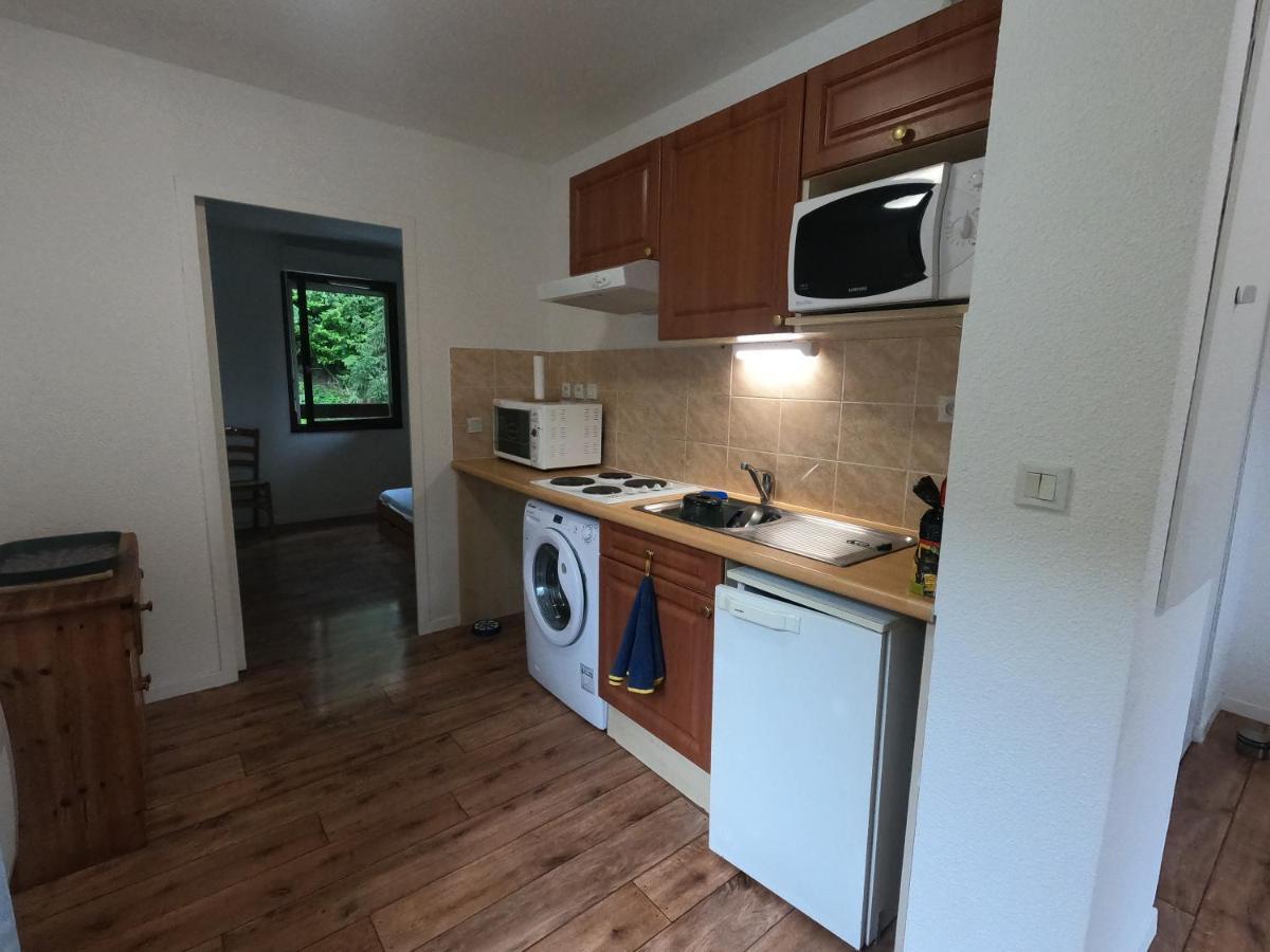 Appartement 39 M2 2 A 4 Personnes Aspin-en-Lavedan Екстер'єр фото